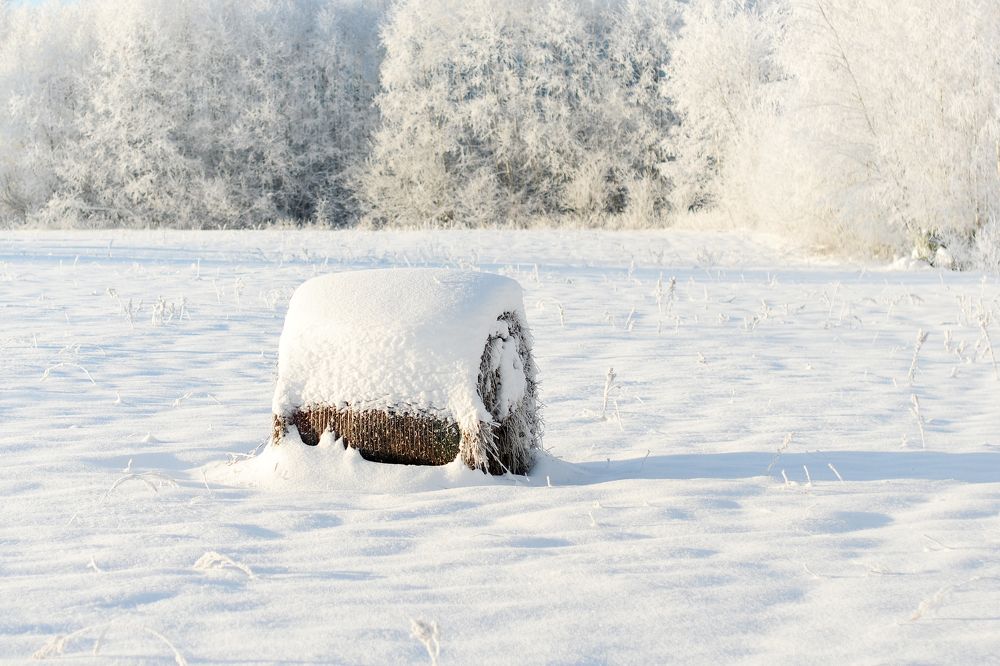 Photograph by Андрей Вахрушев