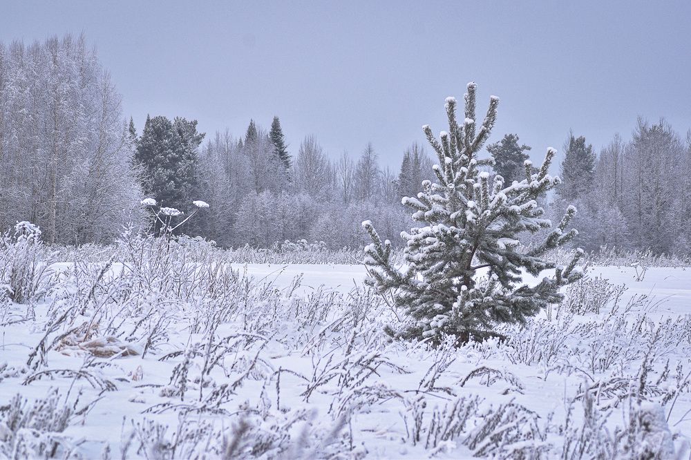 Photograph by Дымова Вера