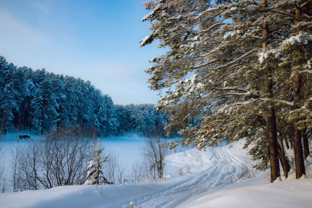 Photograph by Игорь Тюменцев