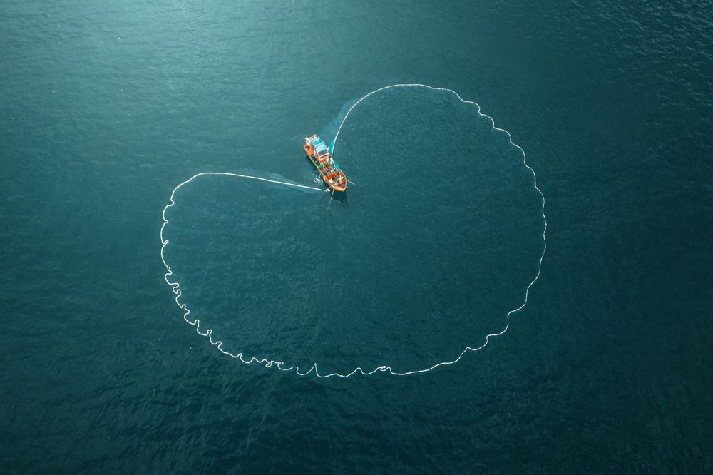 Photograph by Quan Nguyen