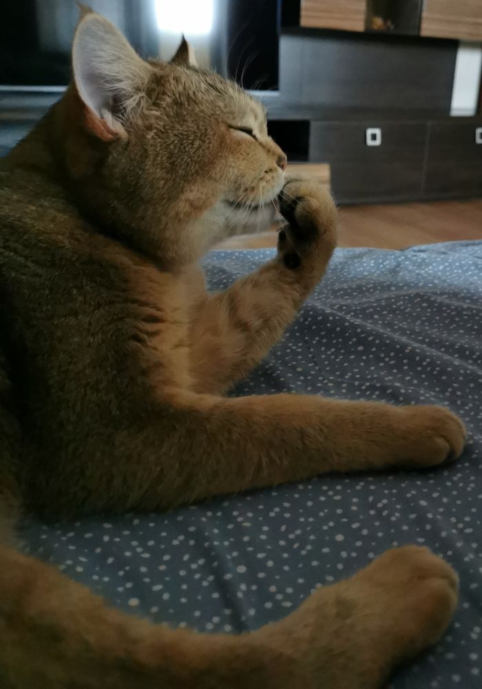 Photograph by Мария Маханько