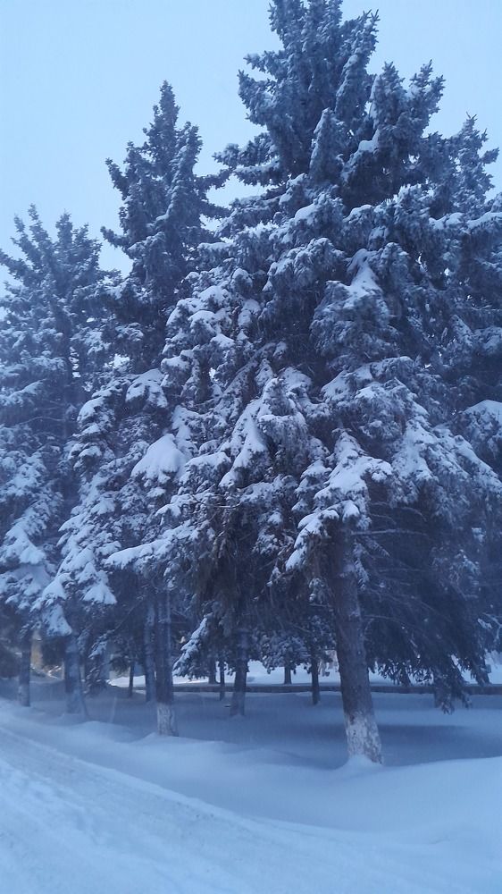 Photograph by Marina Milyaeva