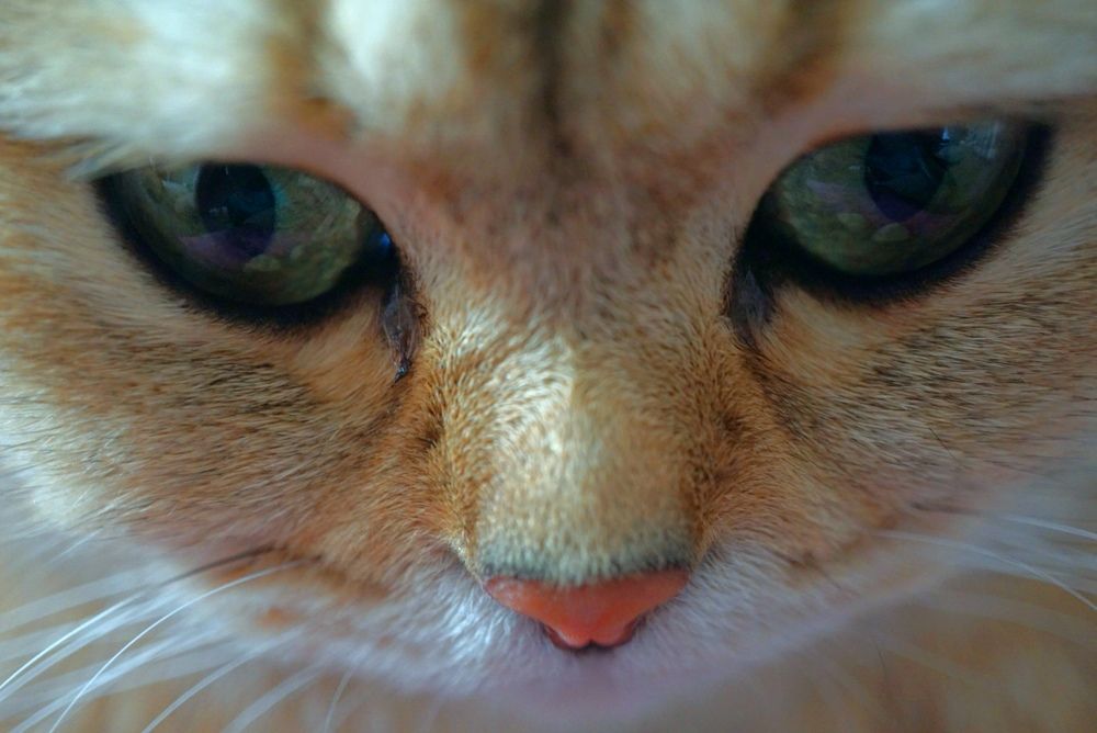 Photograph by Мария Маханько