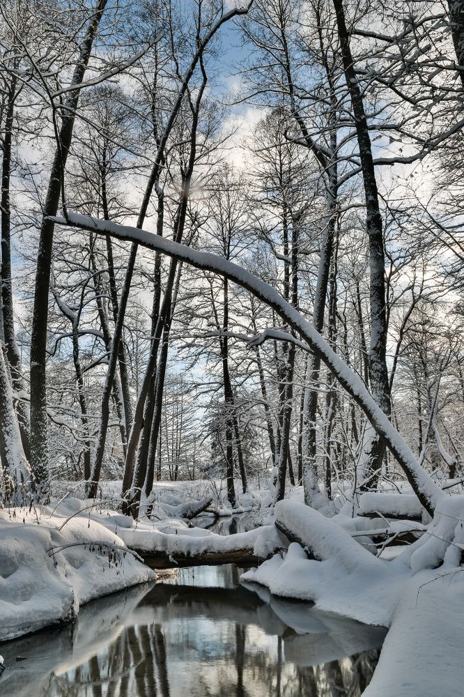 Photograph by Aleksander Perevolotsky