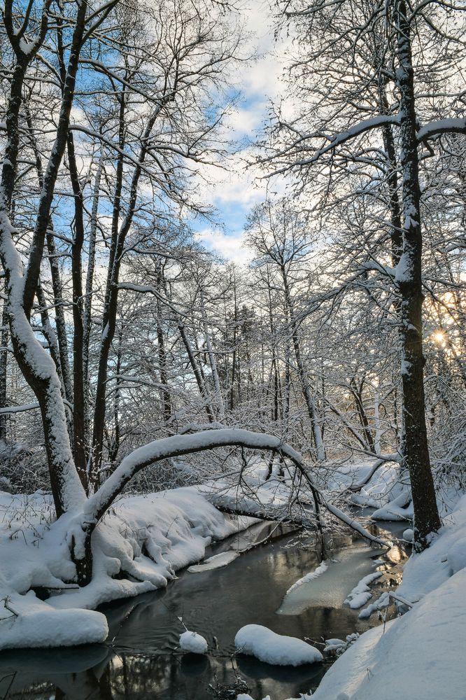 Photograph by Aleksander Perevolotsky