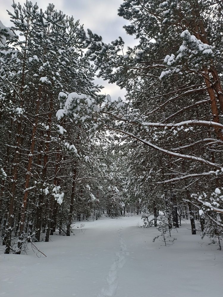 Photograph by Ксения Уварова