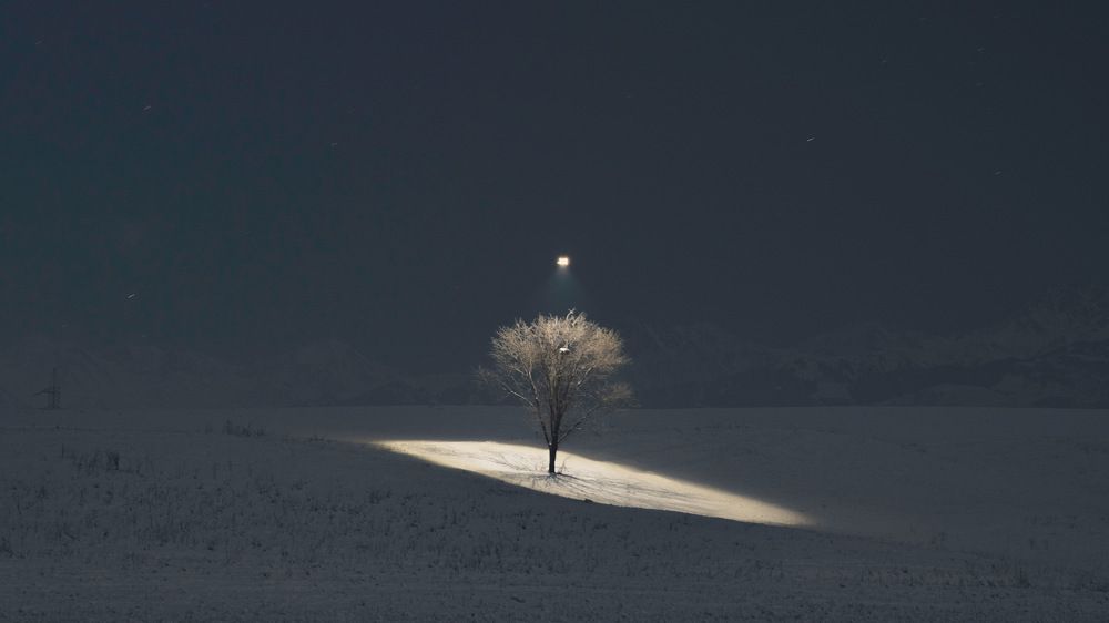 Photograph by Azamat Umbetaliyev