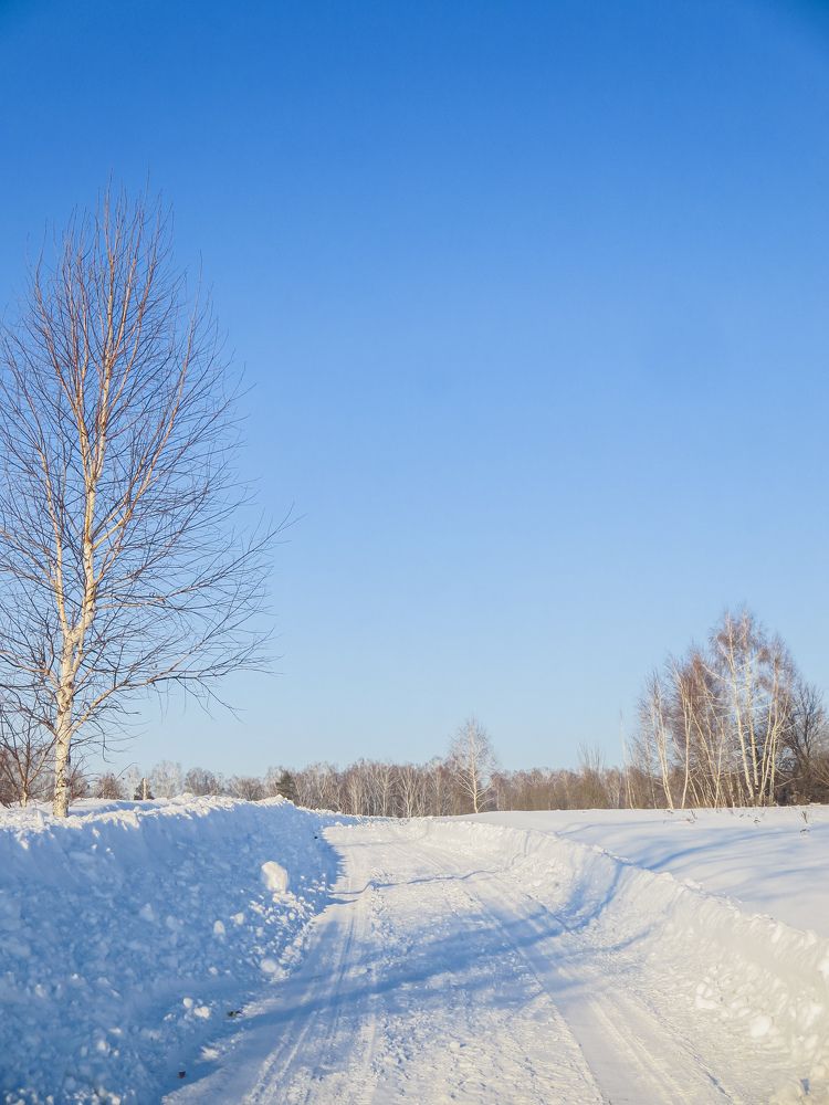 Photograph by Дарья Овсянникова