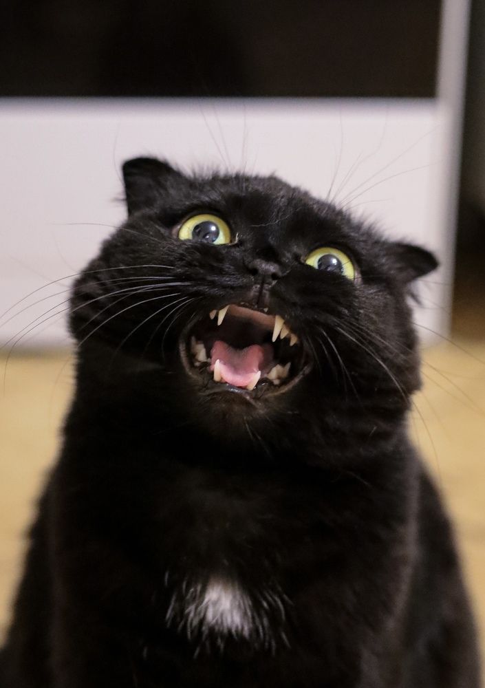 Photograph by Татьяна Пуртова