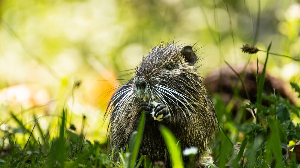 Photograph by Vladyslav Petrenko