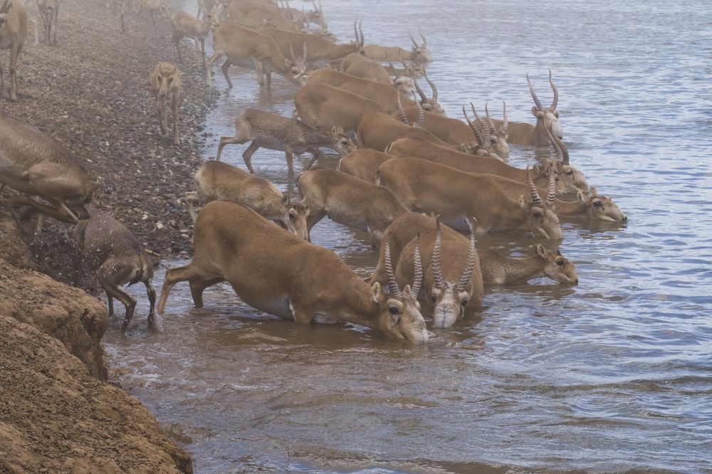 Photograph by Ольга Католичук