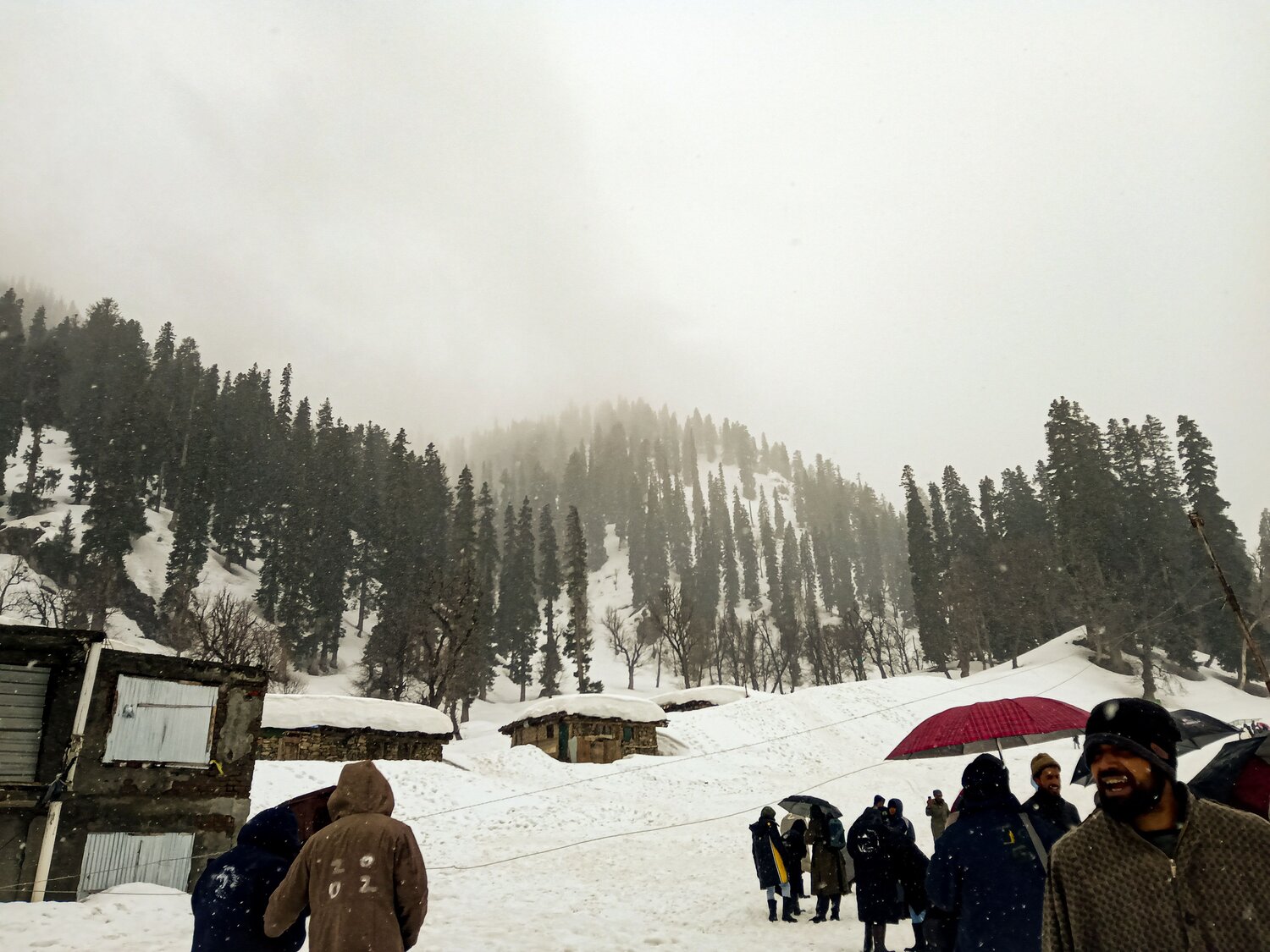 Photo #10064676