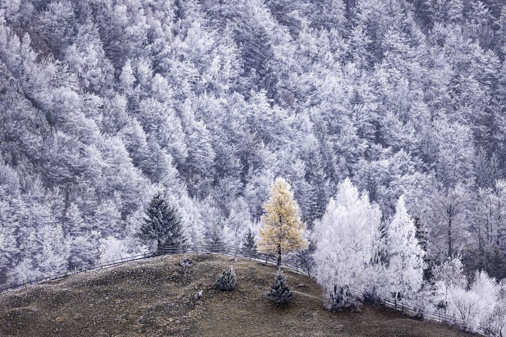 Photograph by Adrian Grigore