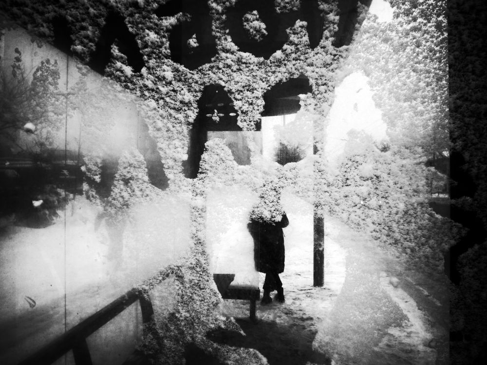 Photograph by Алексей Серпов