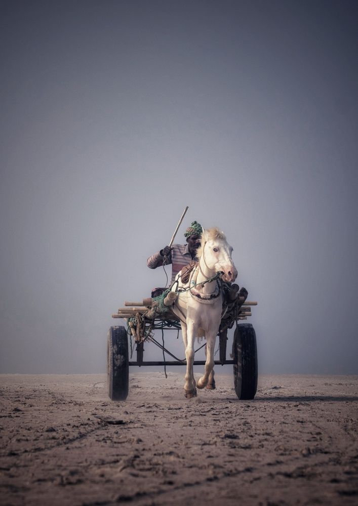 Фотография автора Washiful Majid