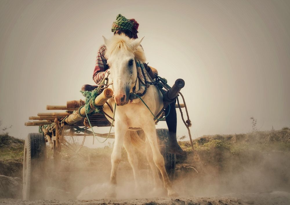 Фотография автора Washiful Majid