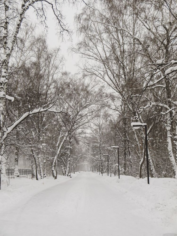 Photograph by Дарья Овсянникова