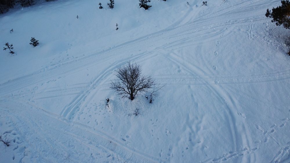 Photograph by Семен Батов