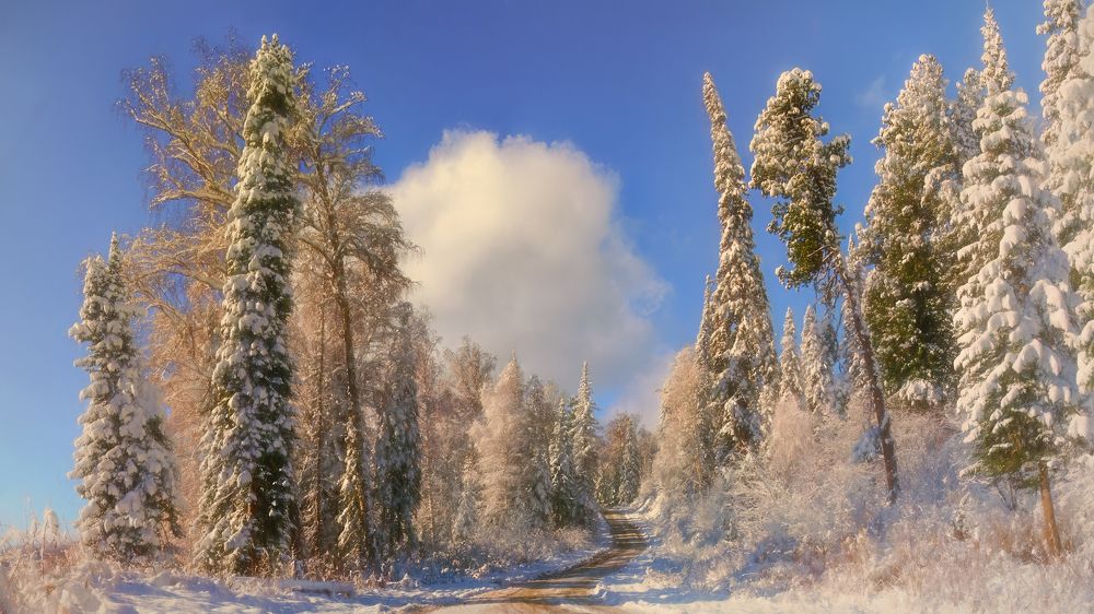 Photograph by Шварцман Евгений