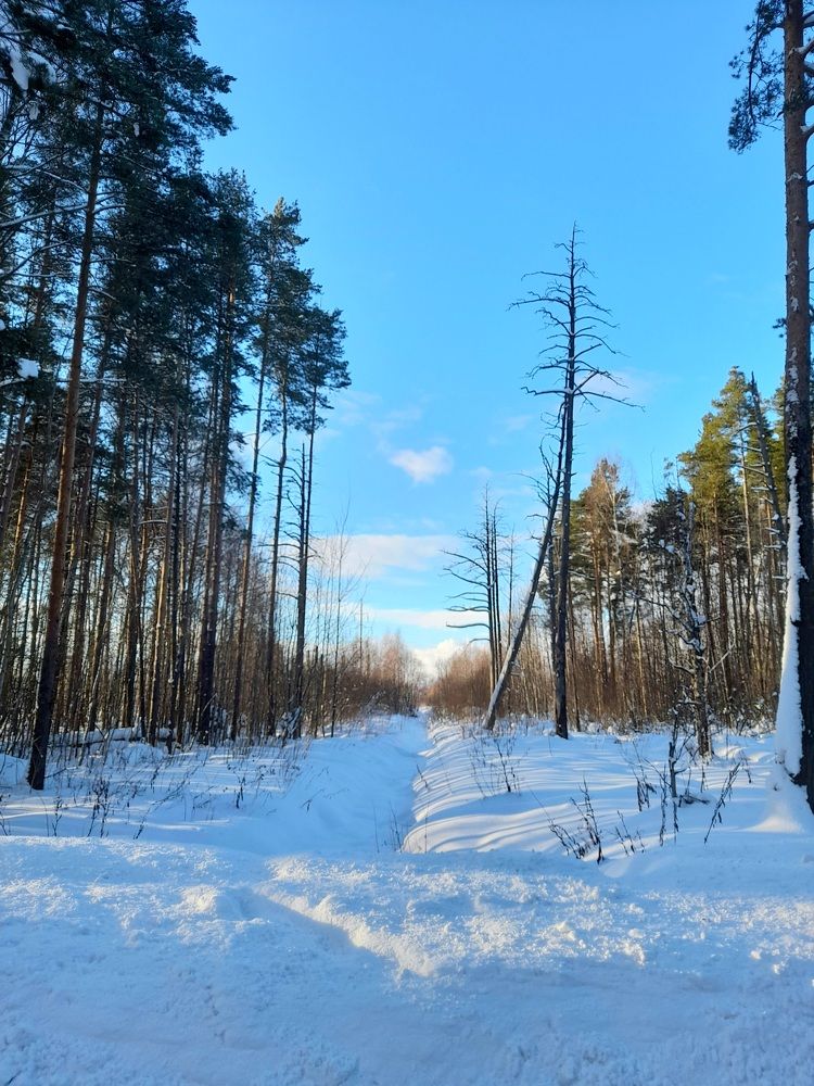 Photograph by Преснухина Екатерина