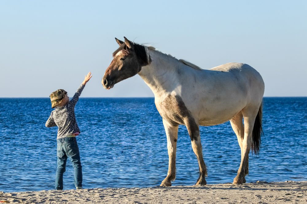 Photograph by Вячеслав Рудинский
