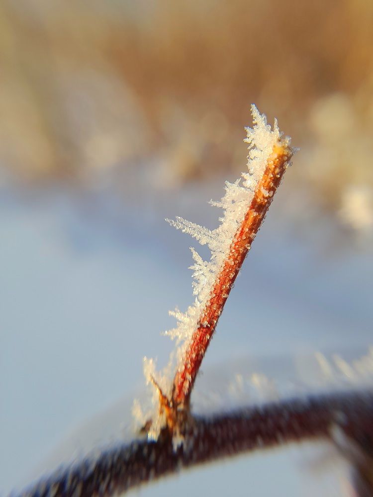 Photograph by Преснухина Екатерина