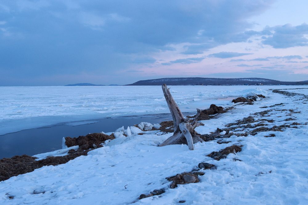Photograph by Нина Ларина
