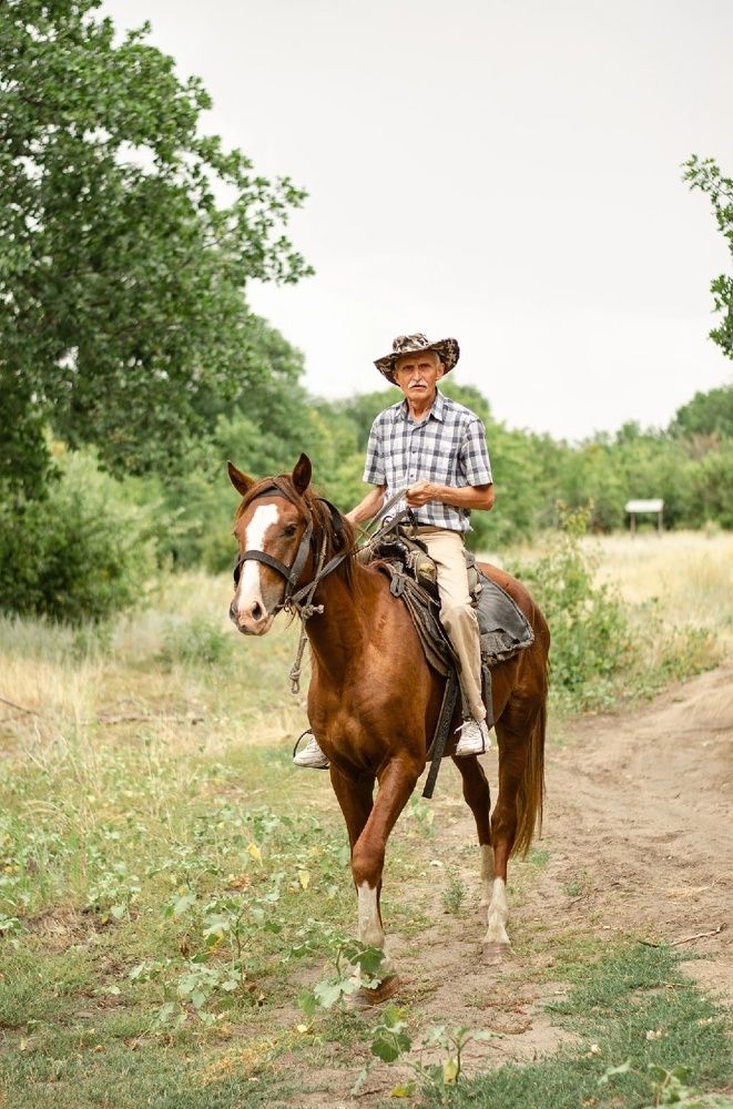 Фотография автора Елена Ефименко