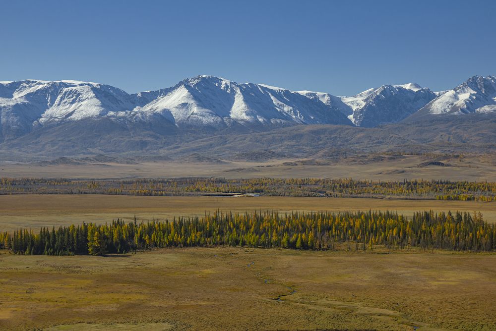 Photograph by Елена Павлова