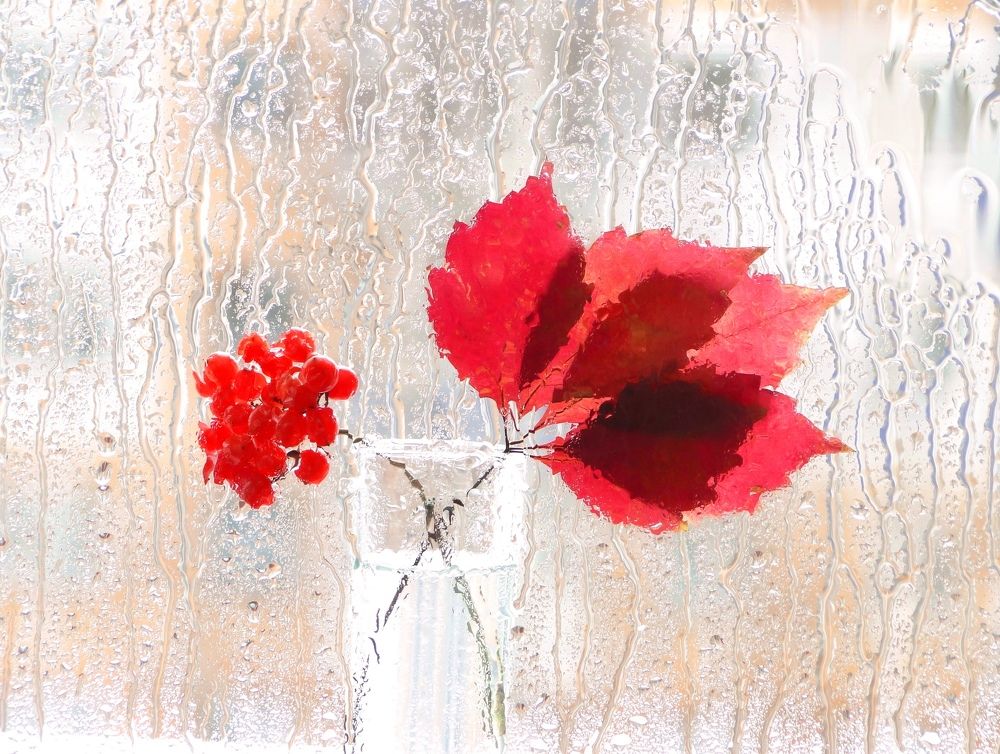 В нашем городе дождь...