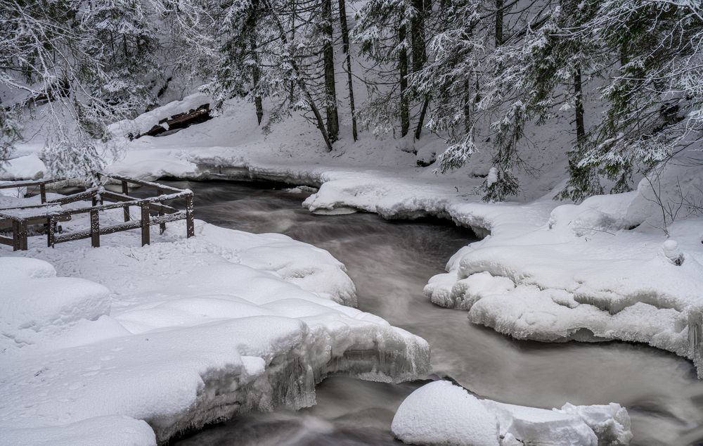 Photograph by Алена