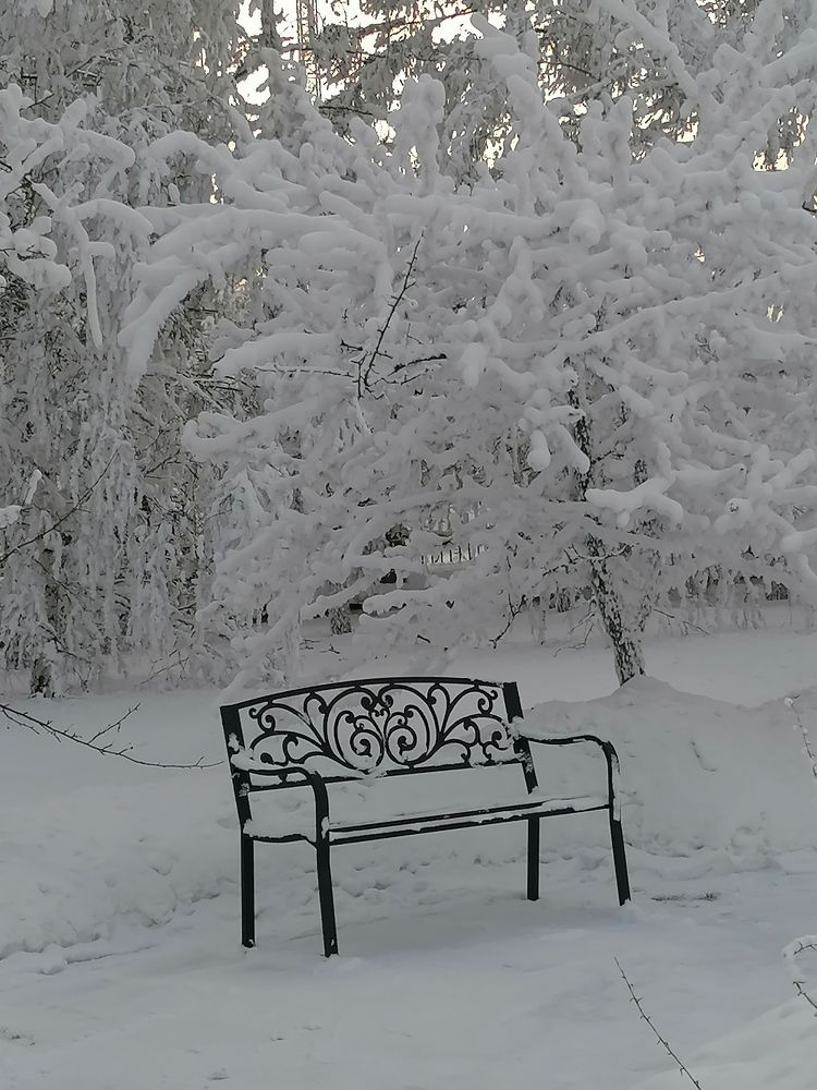 Природа под снегом