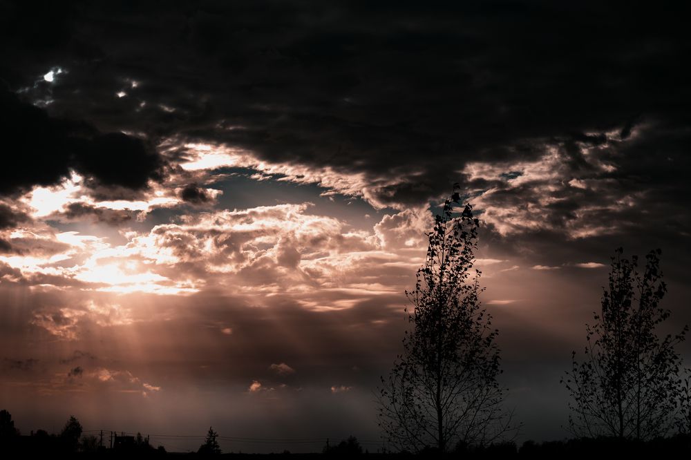 Фотография автора Aamoda Kitchen