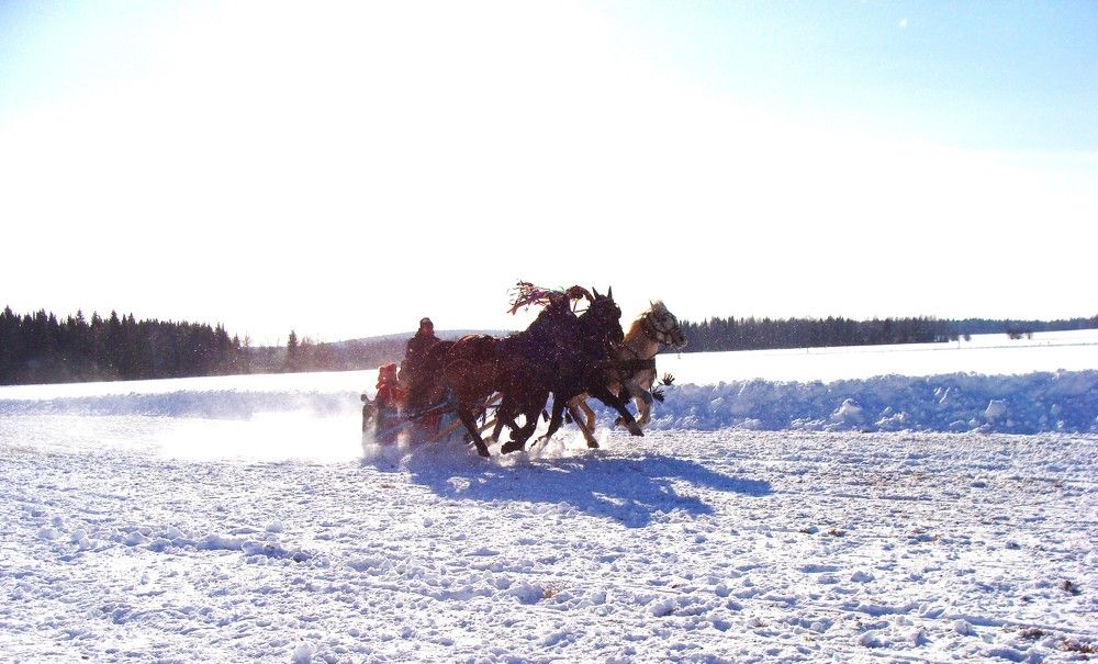 Photograph by Николай Худяков