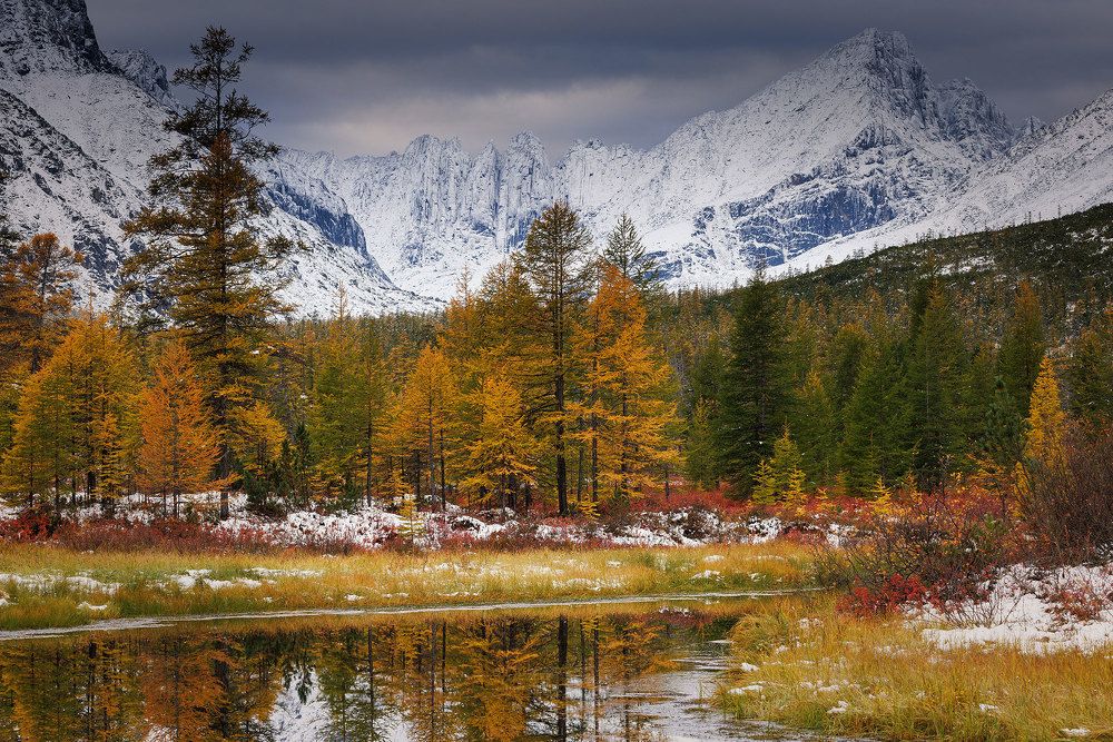 Photograph by Морозов Сергей