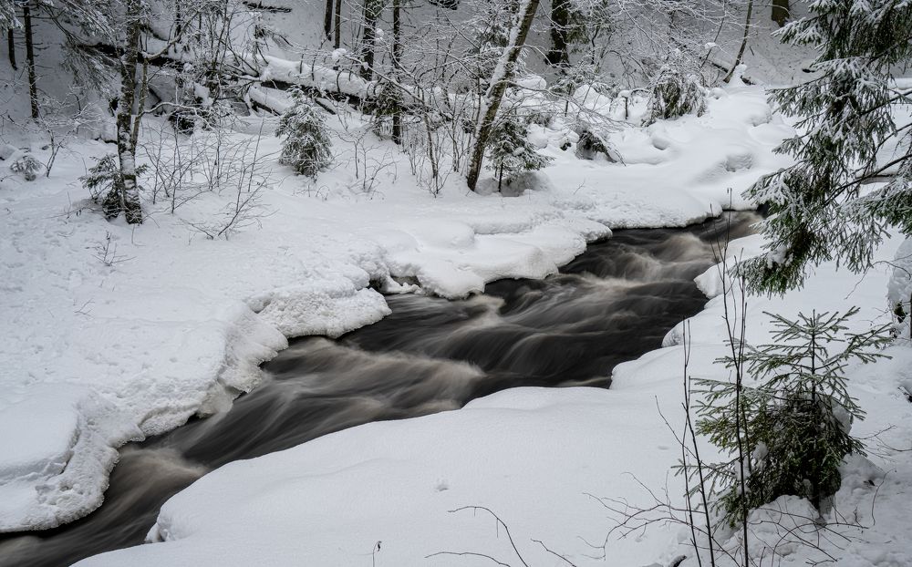 Photograph by Алена