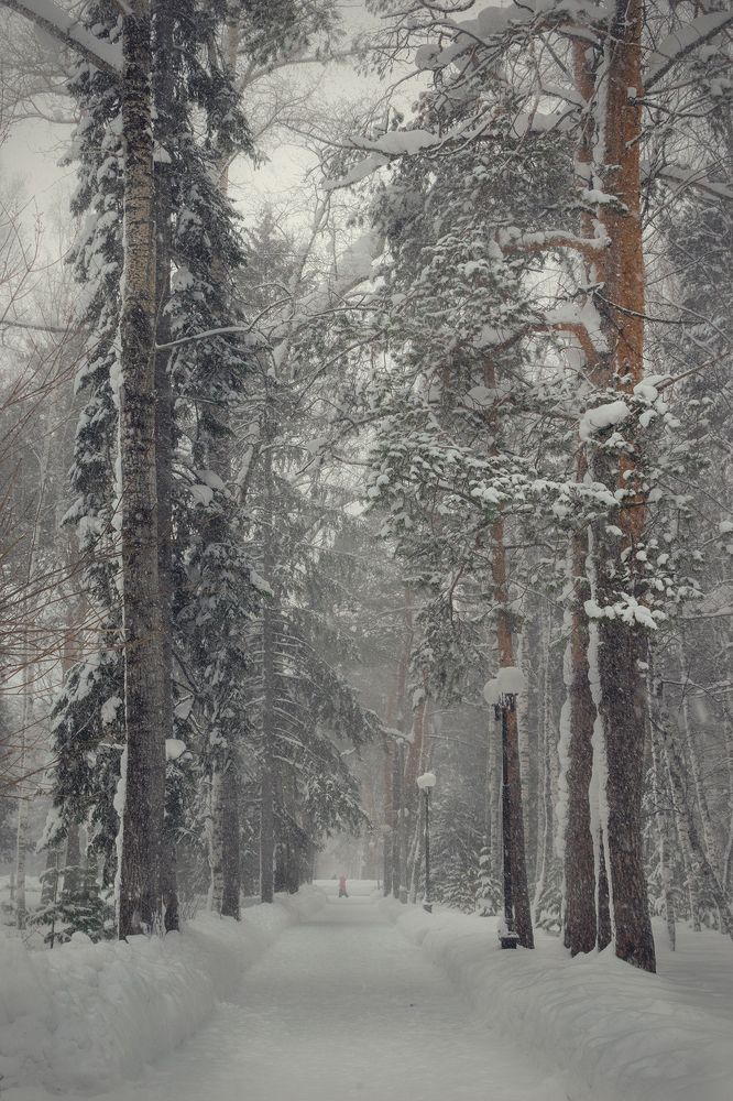 Photograph by Евгений Малинин