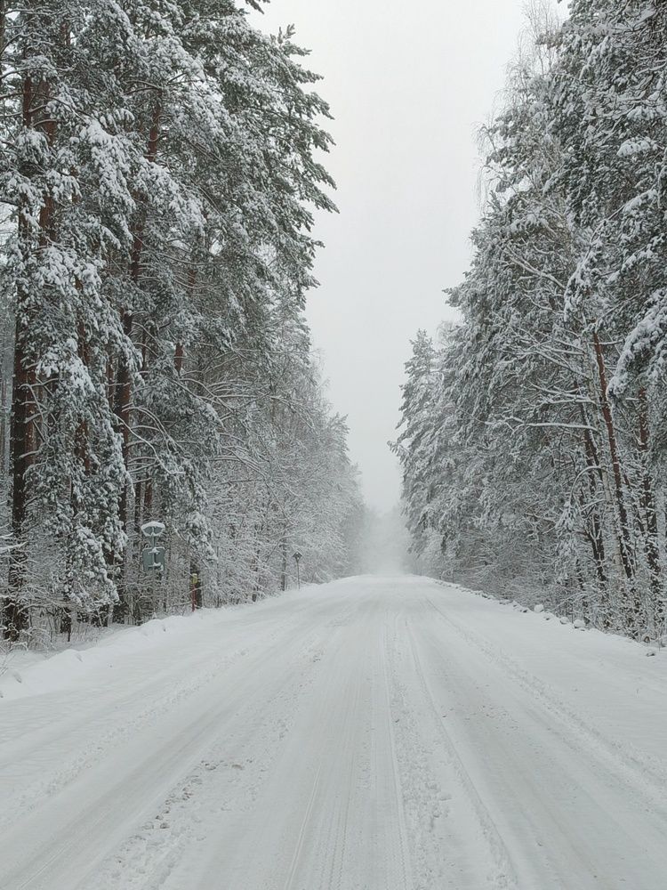 Photograph by Анастасия Кричевцова