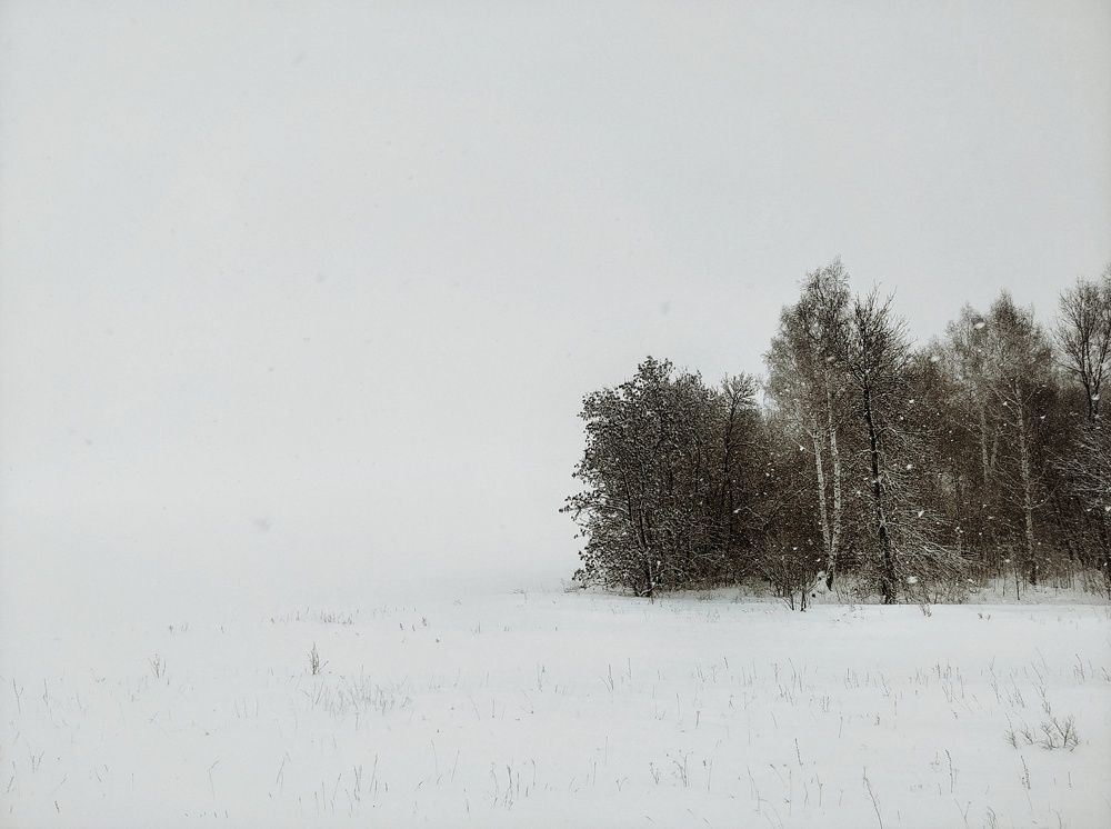Photograph by Маннанова Ляйсан