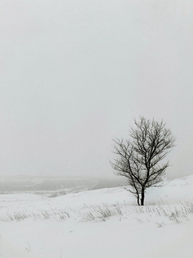 Photograph by Маннанова Ляйсан