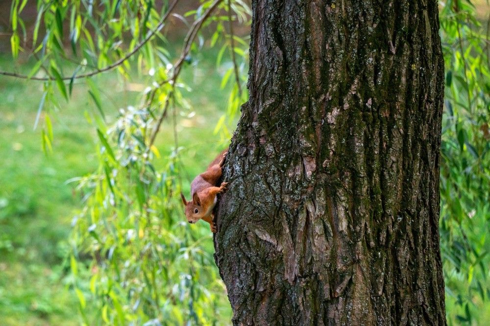 Photograph by Андрей Валерьевич