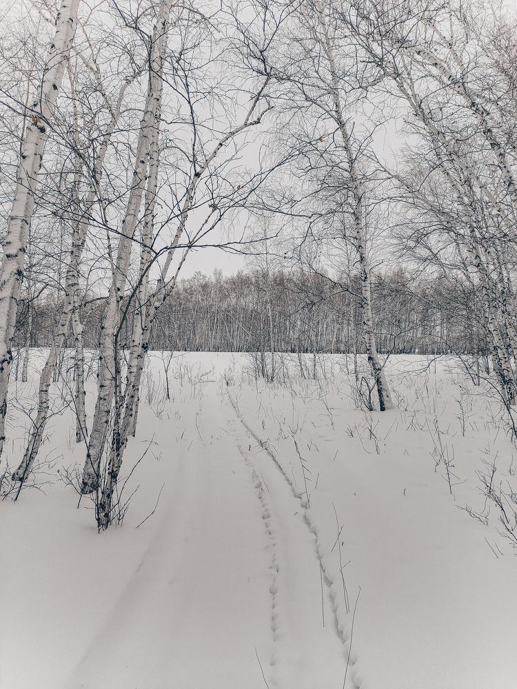 Photograph by Алексей Верхотурцев