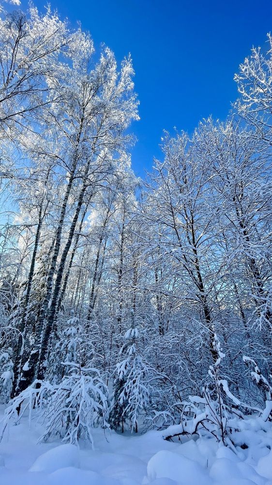 Photograph by Елизавета Большакова