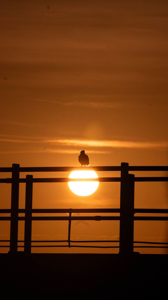 Febo asoma ya sus rayos iluminan un nuevo amanecer