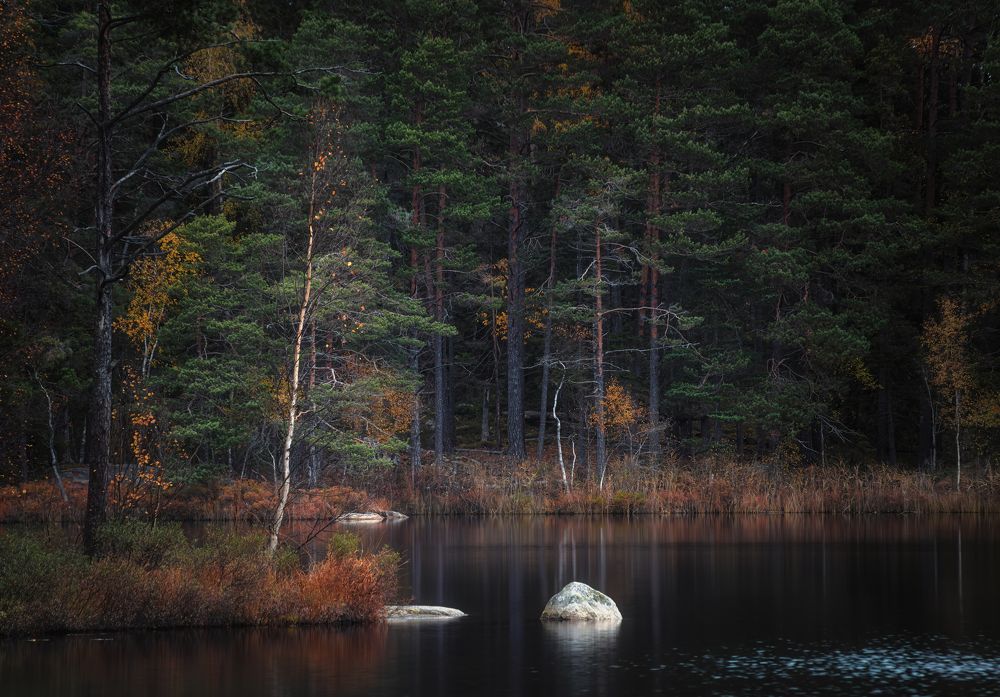 Photograph by Ожерельев Андрей