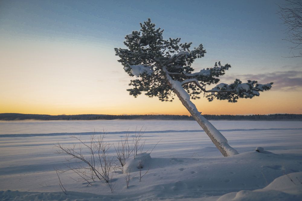 Photograph by Дмитрий Чубко