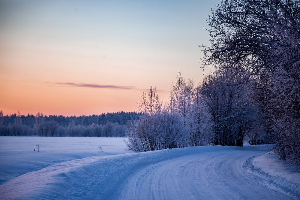 Фотография автора Станислава Гордеева