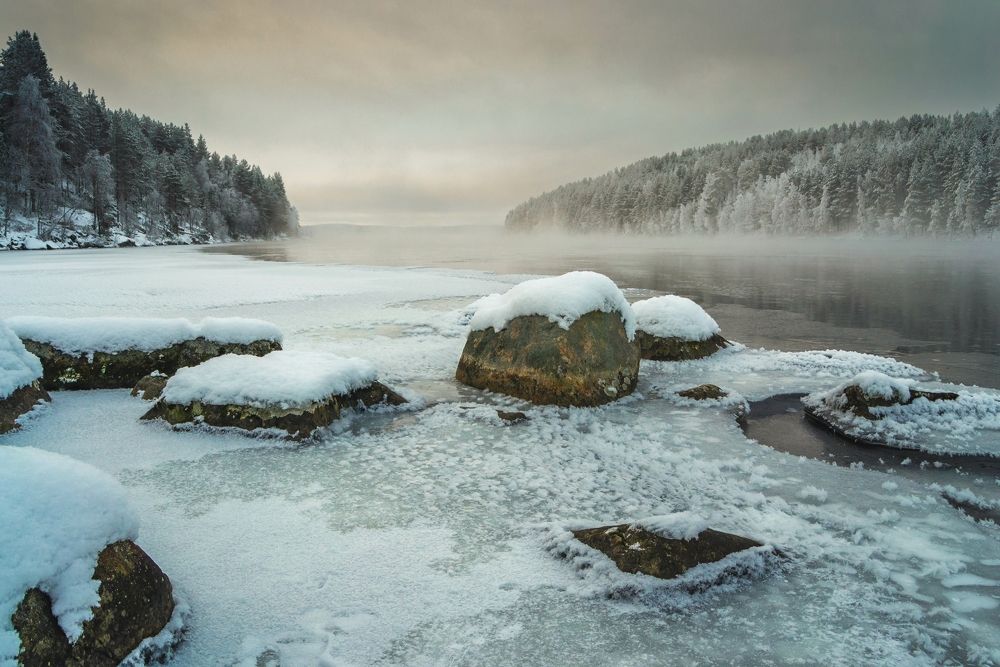 Photograph by Дмитрий Чубко