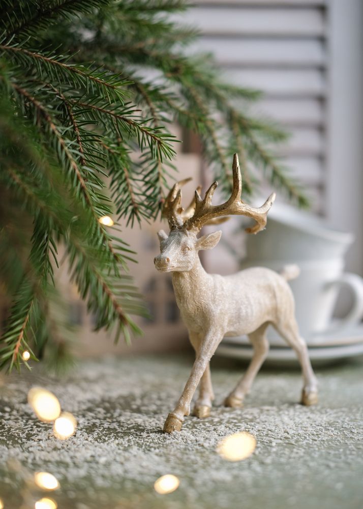 Photograph by Елена Никишина