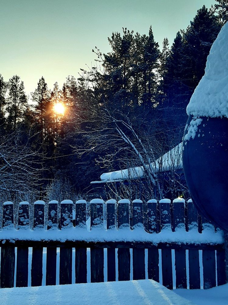 Фотография автора Наталья Шендяпина